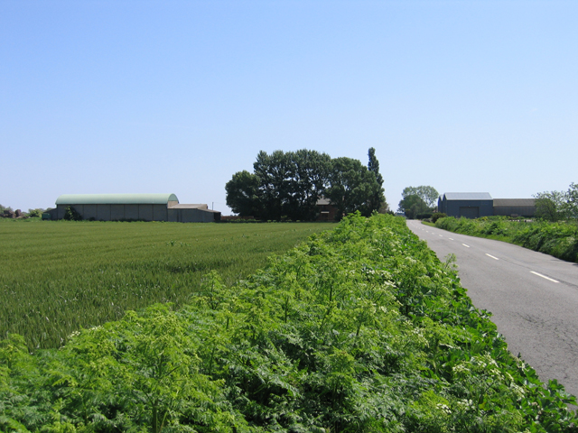 File:Black House Farm, Bourne South Fen, Lincs - geograph.org.uk - 453415.jpg