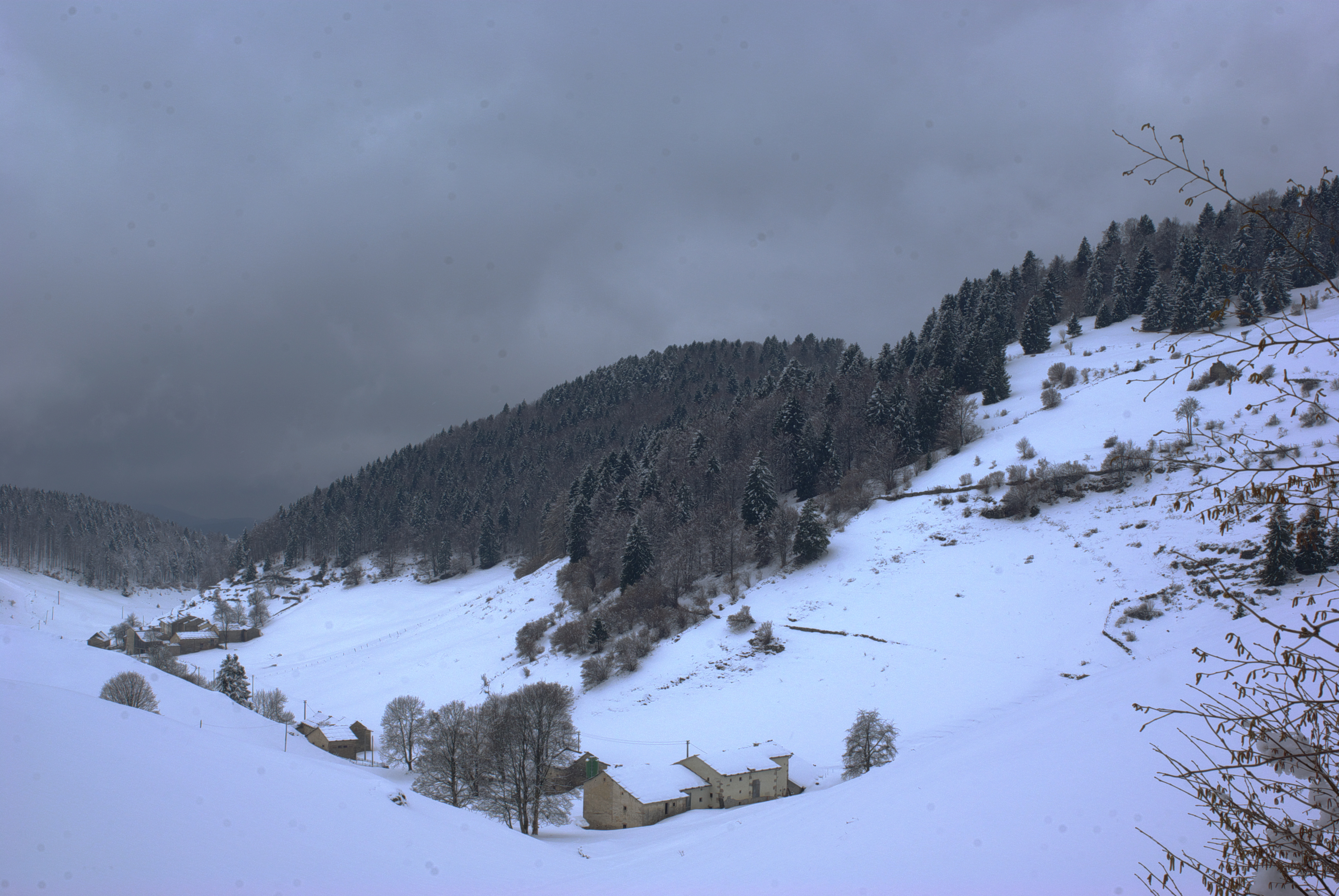 Pastos de nieve en Tinazzo [[Bosco Chiesanuova