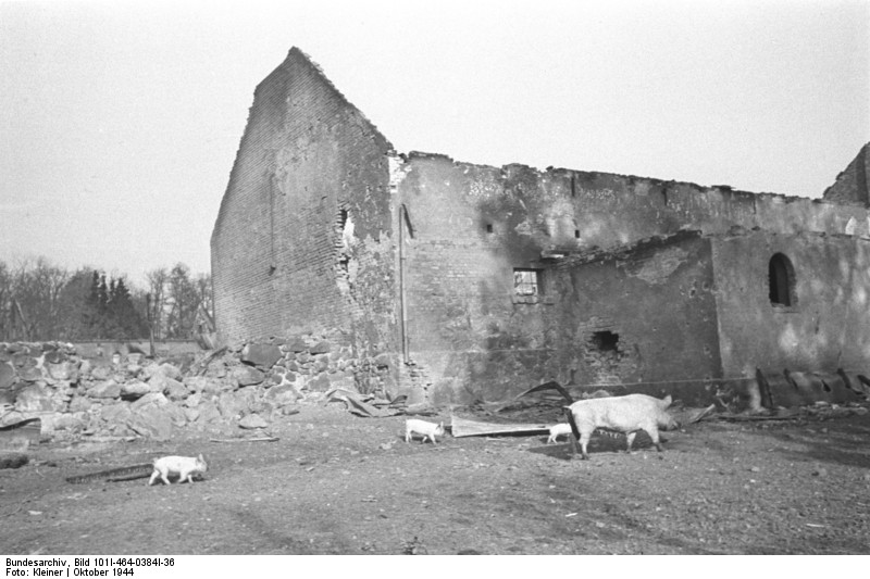 File:Bundesarchiv Bild 101I-464-0384I-36, Nemmersdorf (Ostpreußen), zerstörte Gebäude.jpg