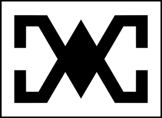 20px