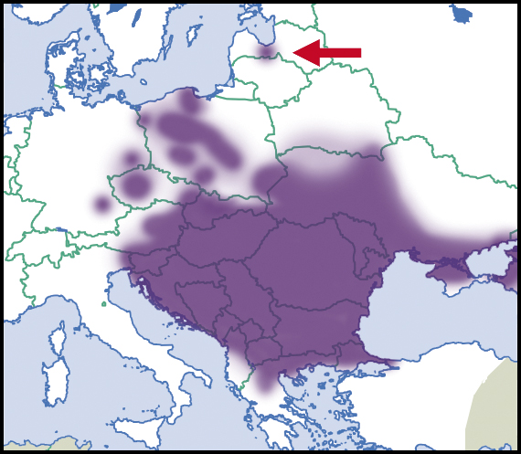 File:Cepaea-vindobonensis-map-eur-nm-moll.jpg