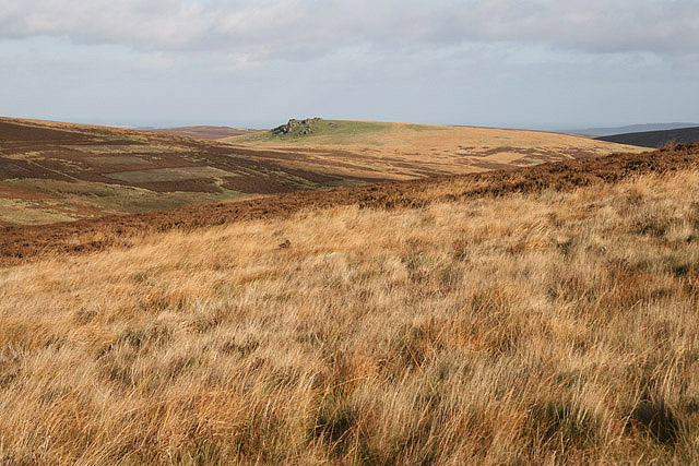 File:Cheviot Hill countryside - geograph.org.uk - 1021381.jpg