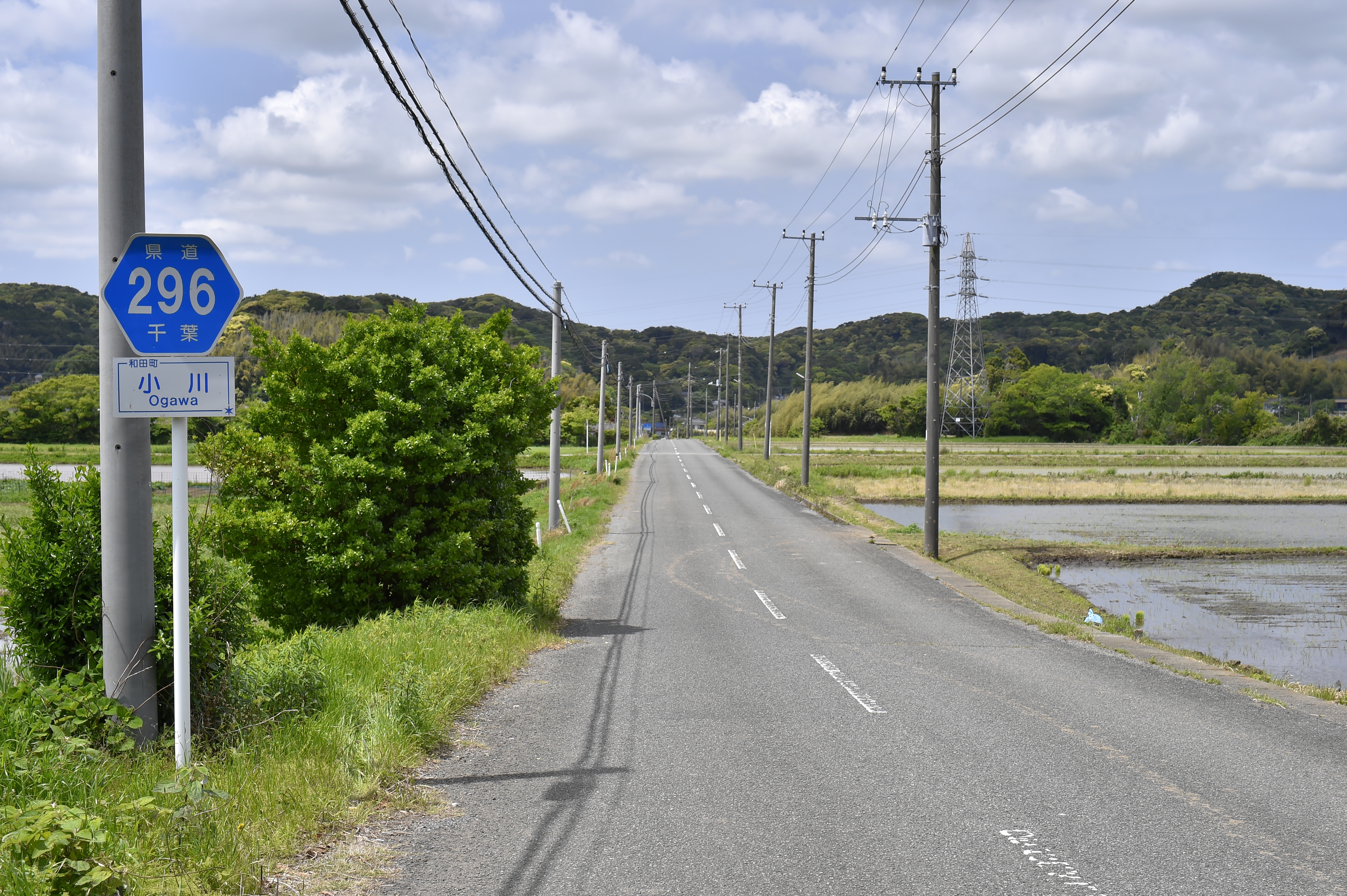 千葉県道296号和田丸山館山線 - Wikipedia