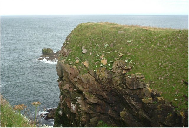 File:Cliff and skerry with birds - geograph.org.uk - 259401.jpg