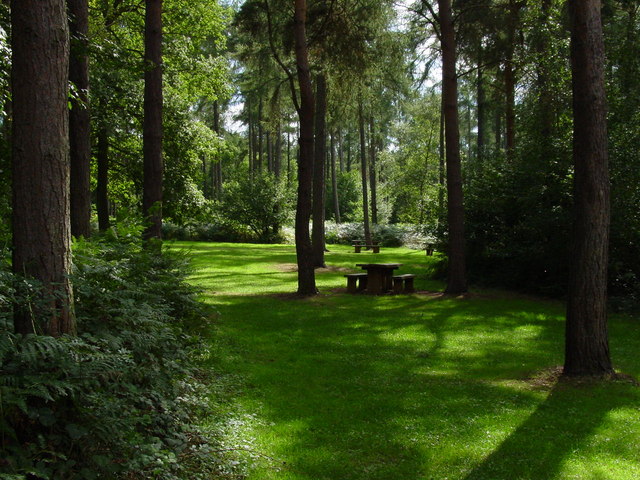 Forestry Commission Picnic Site, Wakerley Great Wood - geograph.org.uk - 225703