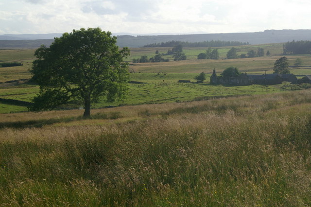 File:High Rannagulzion, Forest of Alyth - geograph.org.uk - 1419386.jpg