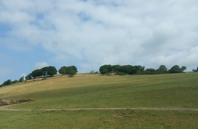 File:Hillside grazing near Starricks Farm - geograph.org.uk - 5925301.jpg