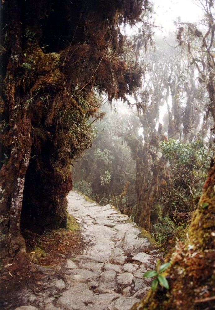 inca trail to machu picchu