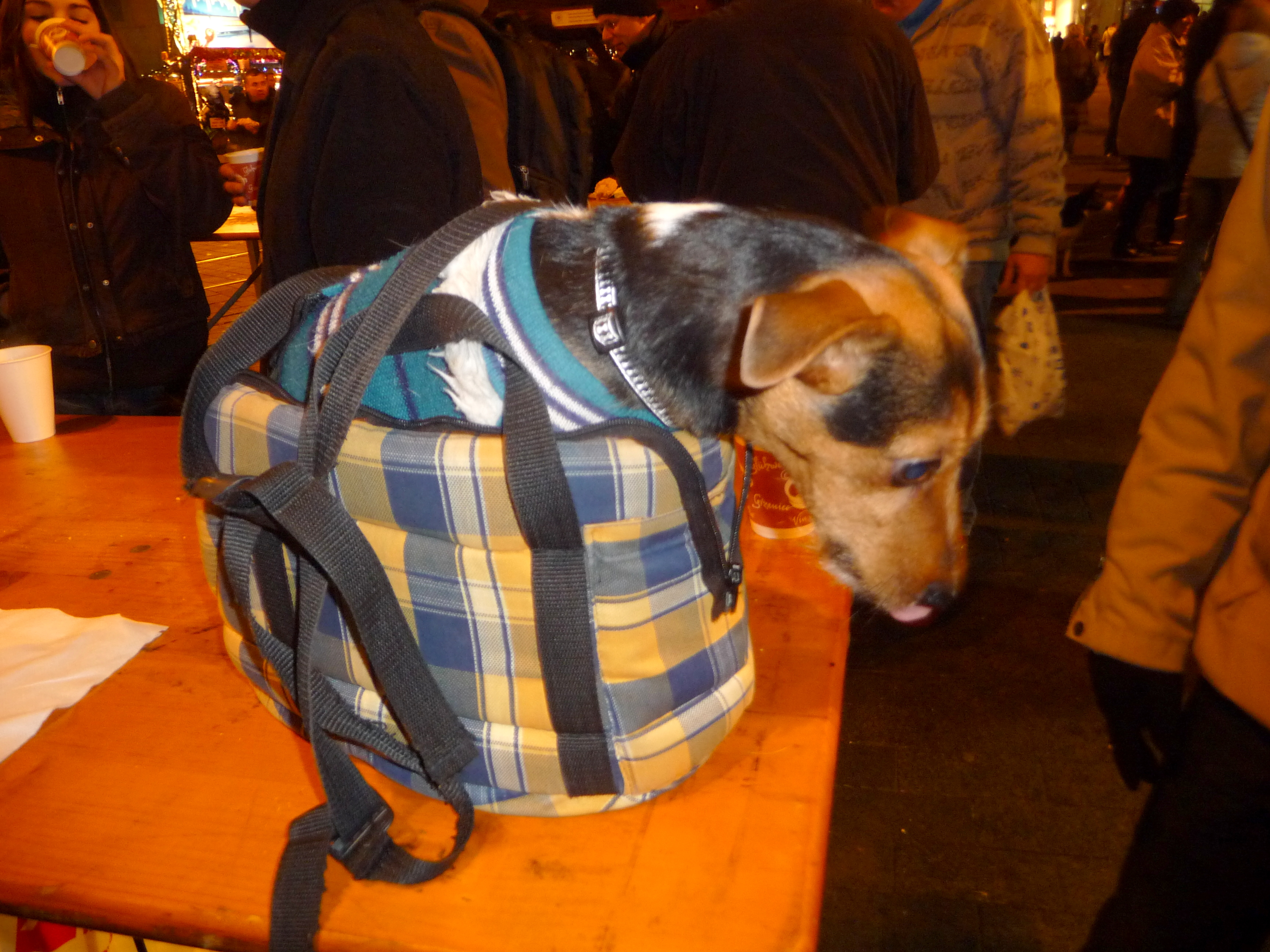 Border terrier Tote bag