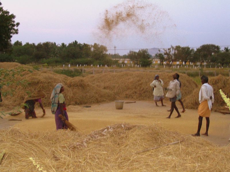 File:Madurai Dalit village 2.jpg