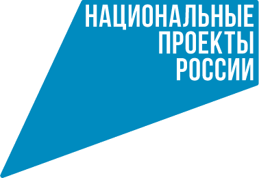 National projects of Russia.png