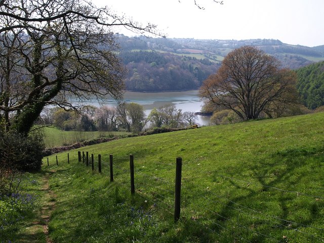 Old Mill Creek from the Dart Valley Trail - geograph.org.uk - 1271291