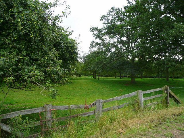 File:Old cider orchard - geograph.org.uk - 917777.jpg