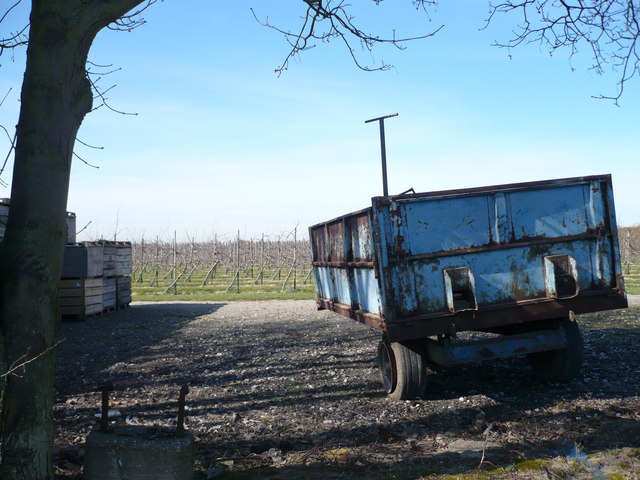 File:Orchards on Oast House Farm - geograph.org.uk - 715162.jpg