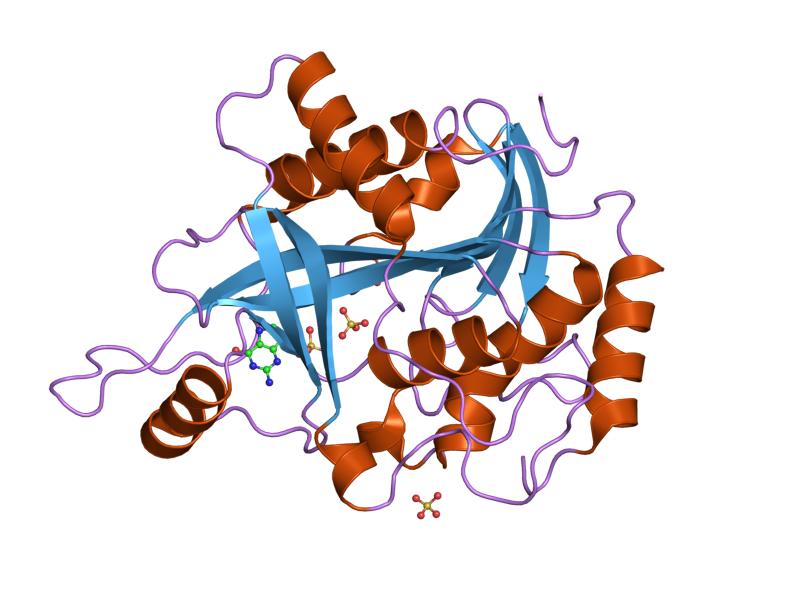 File:PDB 1v2h EBI.jpg