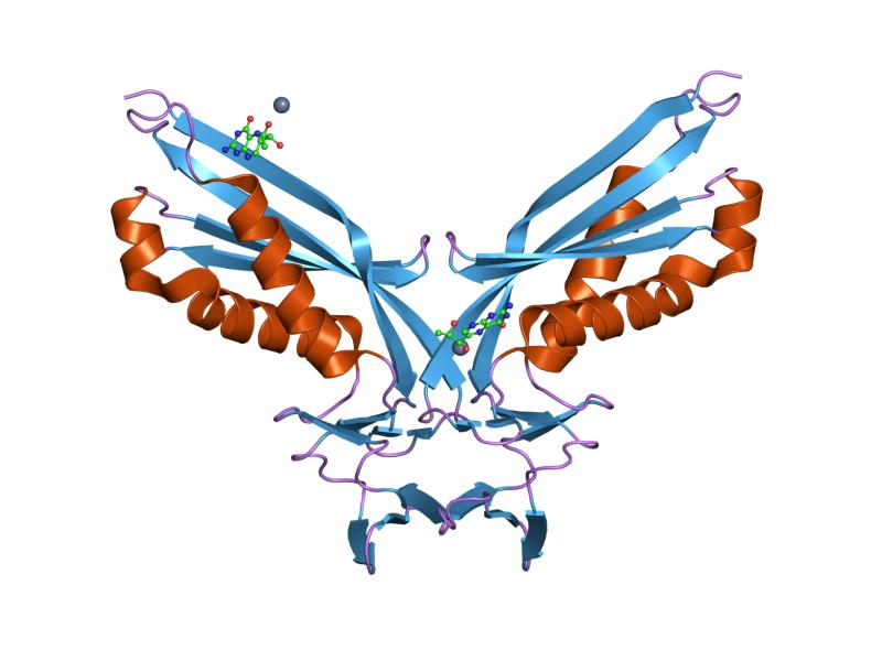 File:PDB 2a0s EBI.jpg