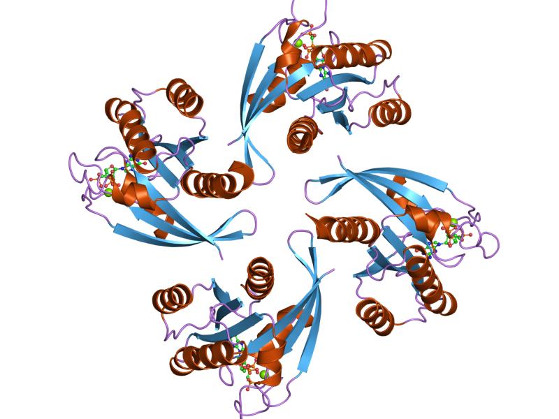 File:PDB 6q21 EBI.jpg