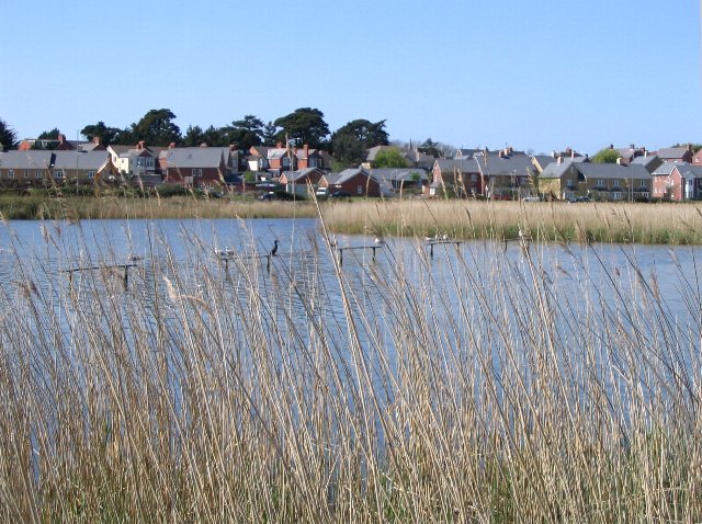 Perches at Radipole Lake - geograph.org.uk - 406555