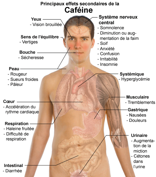 File:Principaux effets secondaires de la caféine.png