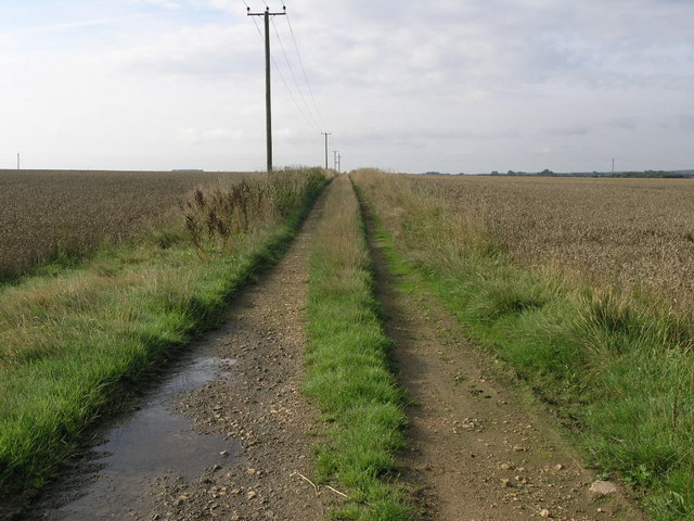 File:Pylons and Track - geograph.org.uk - 230680.jpg