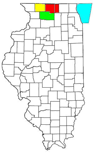 <span class="mw-page-title-main">Rockford metropolitan area, Illinois</span> US statistics area