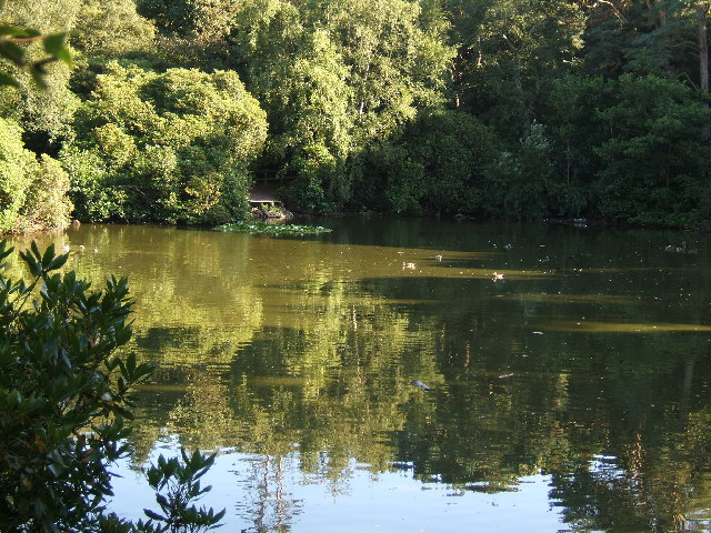 Roodee Mere - geograph.org.uk - 49526