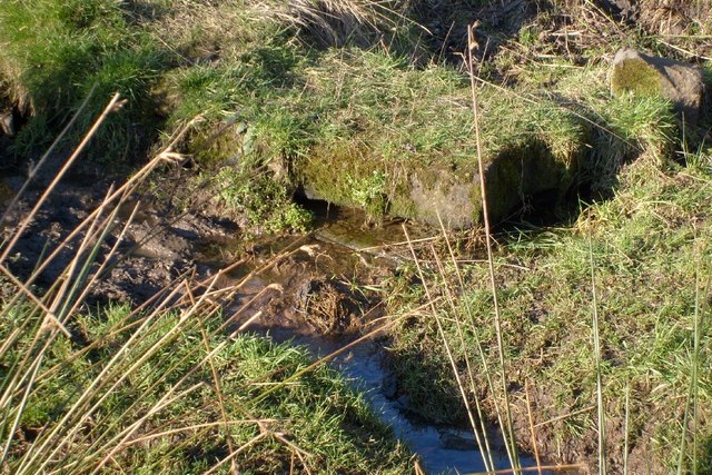 Source of the Bishop Burn - geograph.org.uk - 1519629