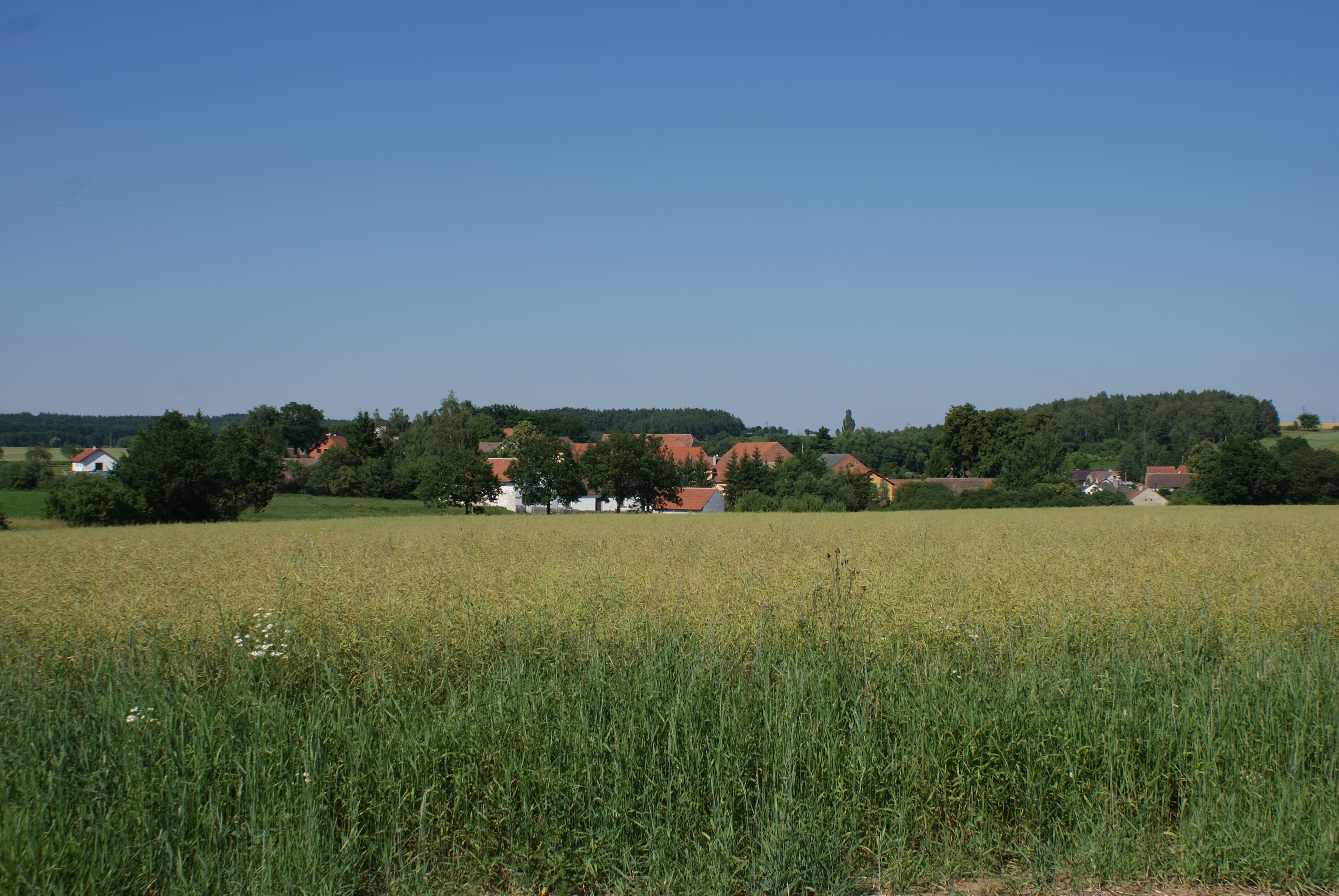 Svojšice жалпы көрінісі