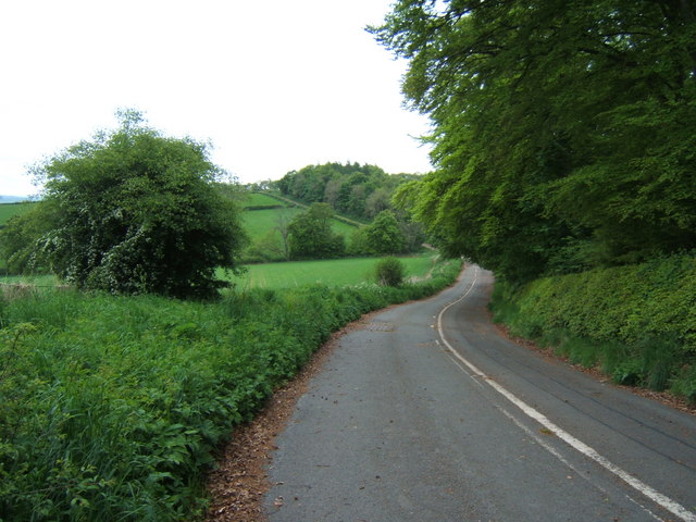 The Old A6091 near the Rhymer's Stone - geograph.org.uk - 1317879