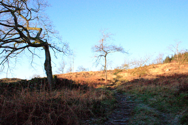 File:Track to Screel Hill - geograph.org.uk - 331087.jpg