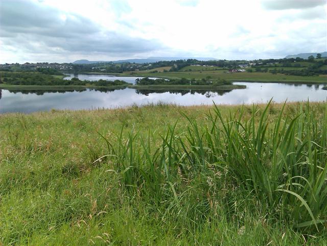 View of Lough Erne from Devenish Island - geograph.org.uk - 3056418