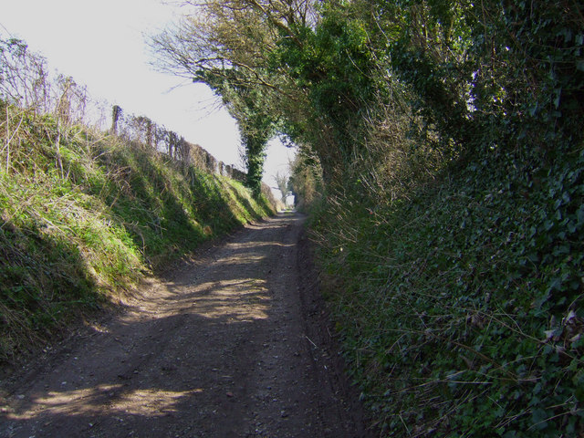 File:View up Lower Lamborough Lane, Cheriton - geograph.org.uk - 1207251.jpg