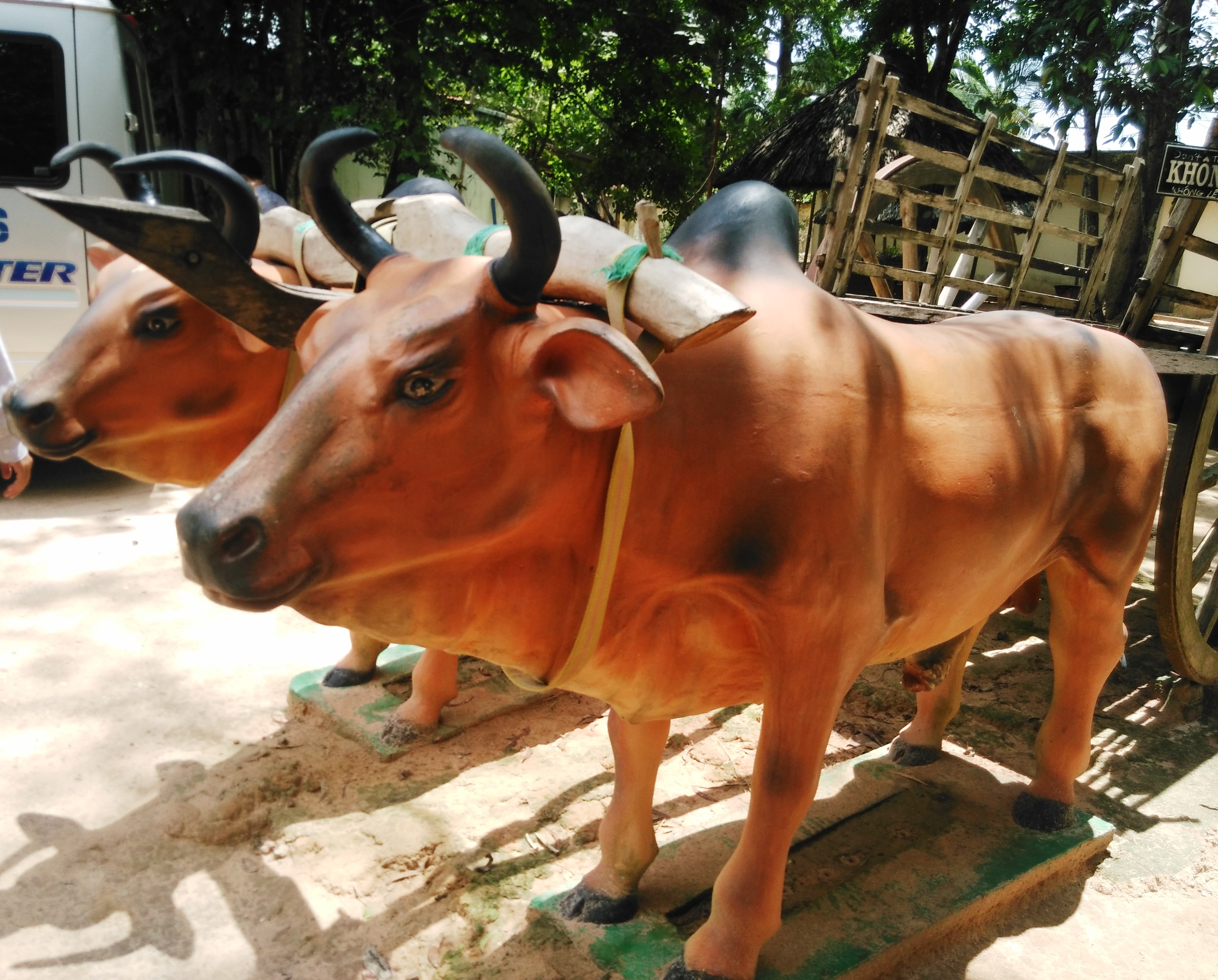 Xe bò Củ Chi là một trong những điểm đến hấp dẫn không thể bỏ qua khi du lịch tại Sài Gòn. Hãy để đôi chân mình đưa bạn đến vùng đất lịch sử và thưởng thức trào lưu độc đáo của người dân địa phương.