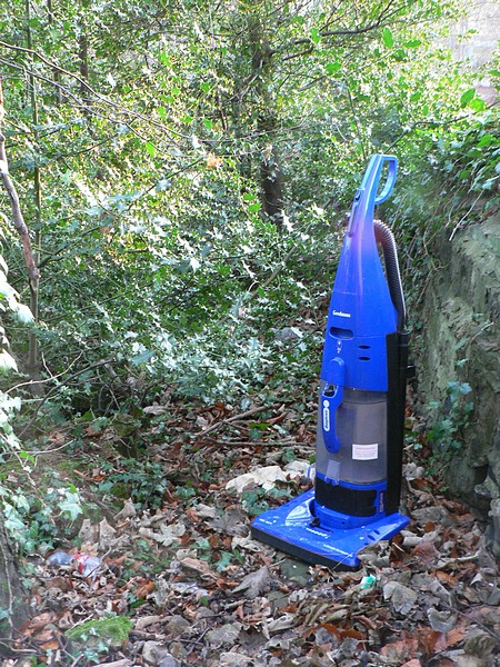 File:You'll never clean up all those leaves with that thing ^ - geograph.org.uk - 642402.jpg