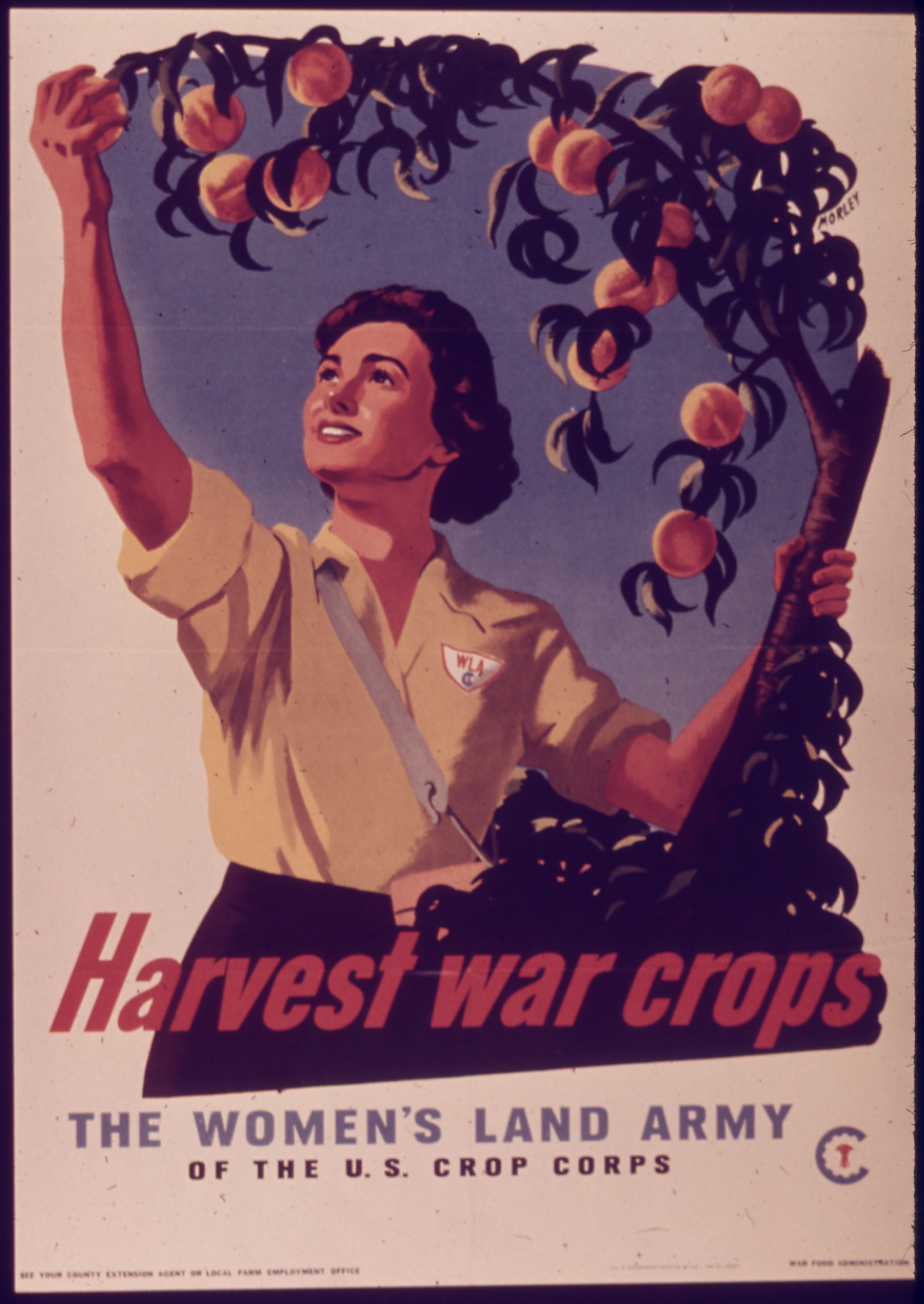 Плакат женщины войны. Урожай плакат. Советские плакаты урожай. Американские постеры 1945.