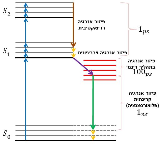 File:דיאגרמת יבלונסקי.JPG