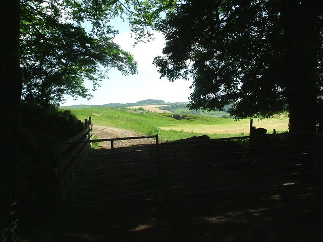 File:A shady spot - geograph.org.uk - 462711.jpg