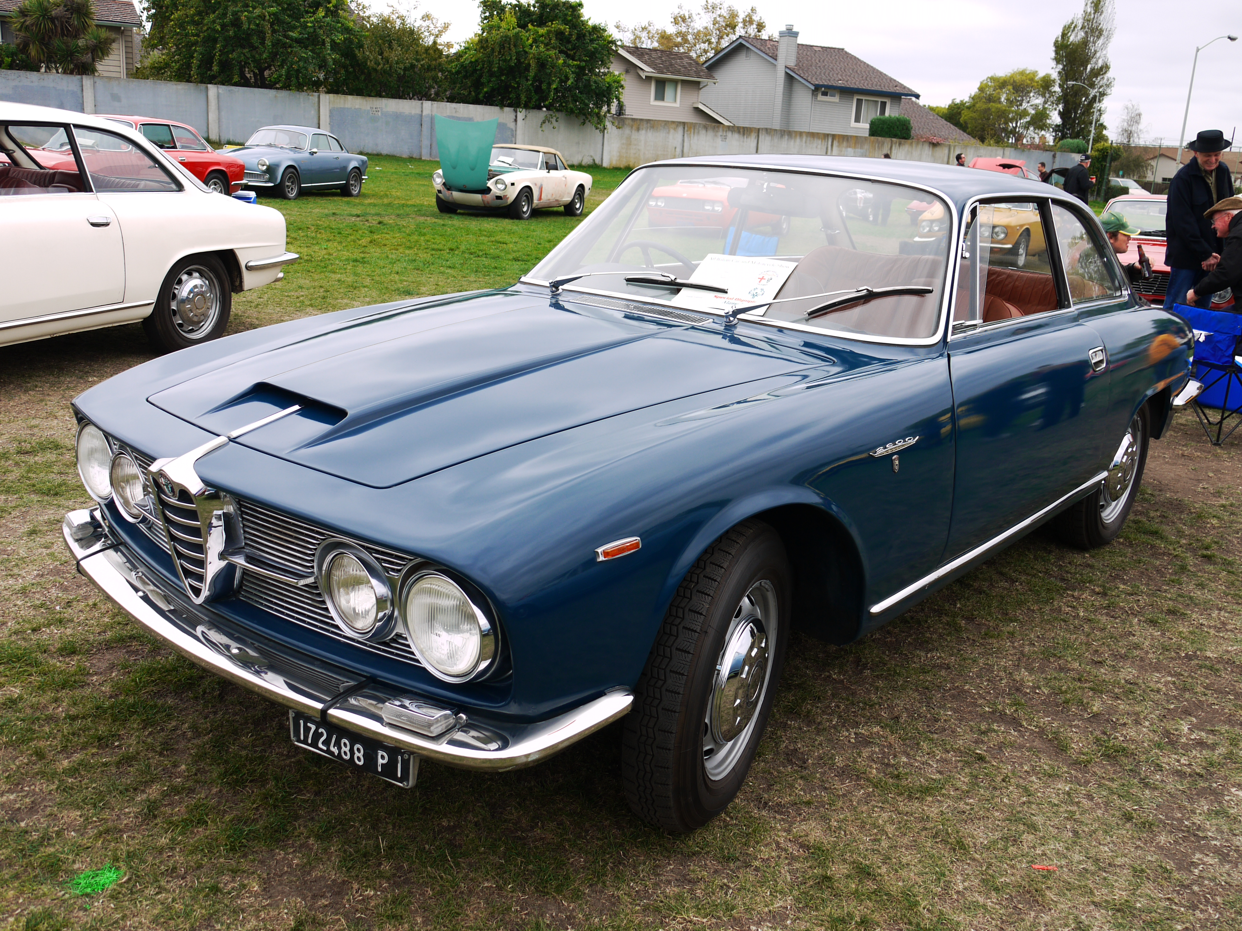 Alfa_Romeo_2600_blue