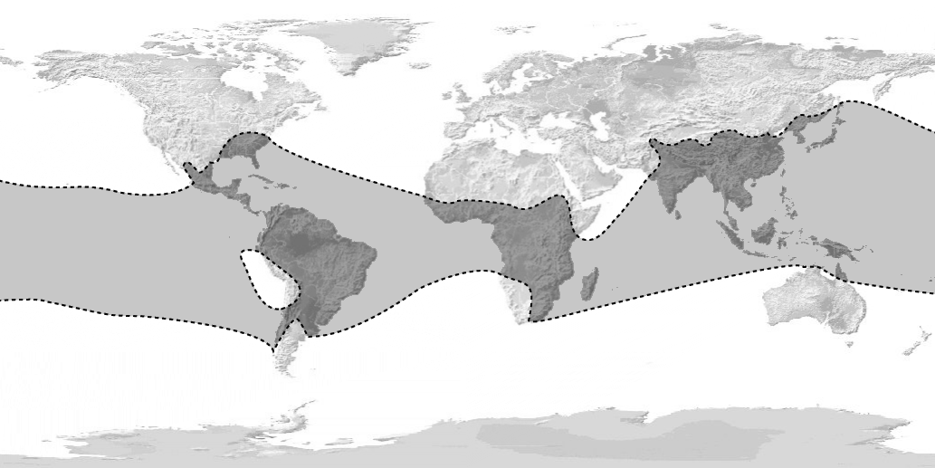 https://upload.wikimedia.org/wikipedia/commons/2/2a/Bambusoideae_World_map.png