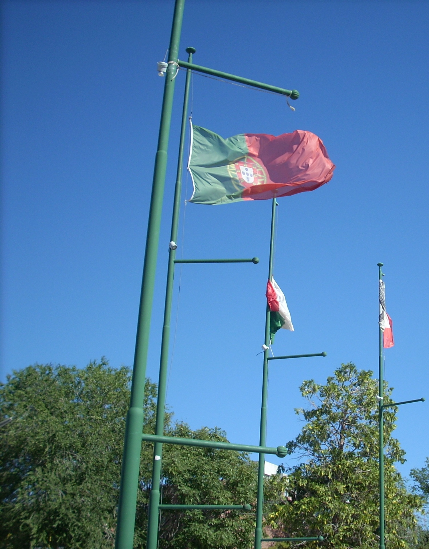 File:Bandera Argentina Flag.JPG - Wikimedia Commons