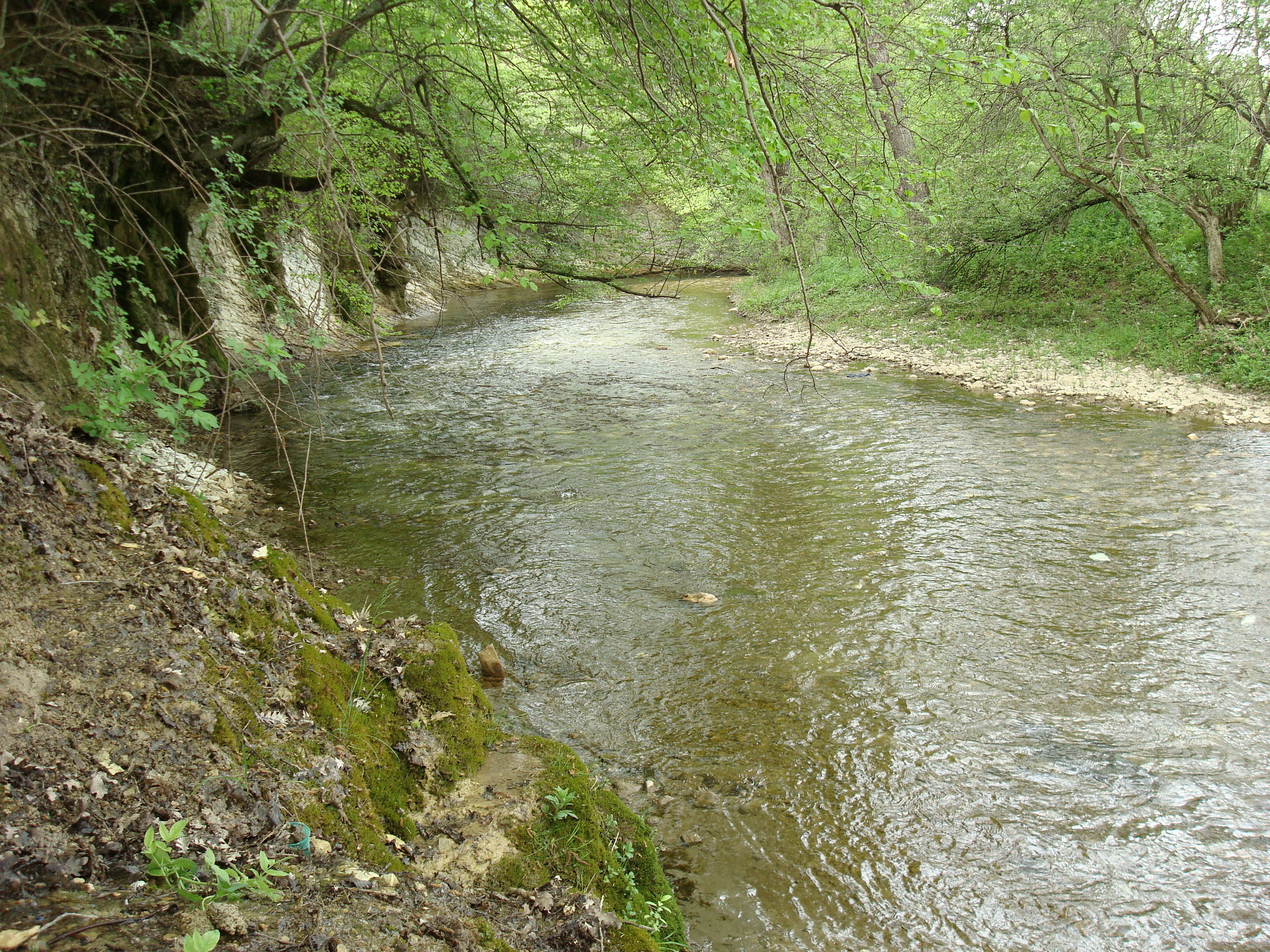 Река Бельбек в Крыму