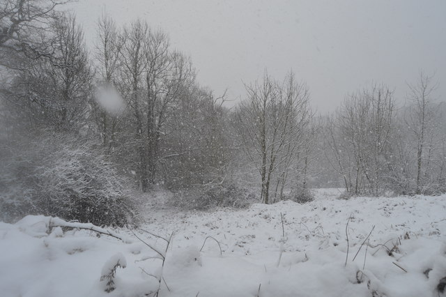 File:Blizzard near Bidborough Corner - geograph.org.uk - 5741226.jpg