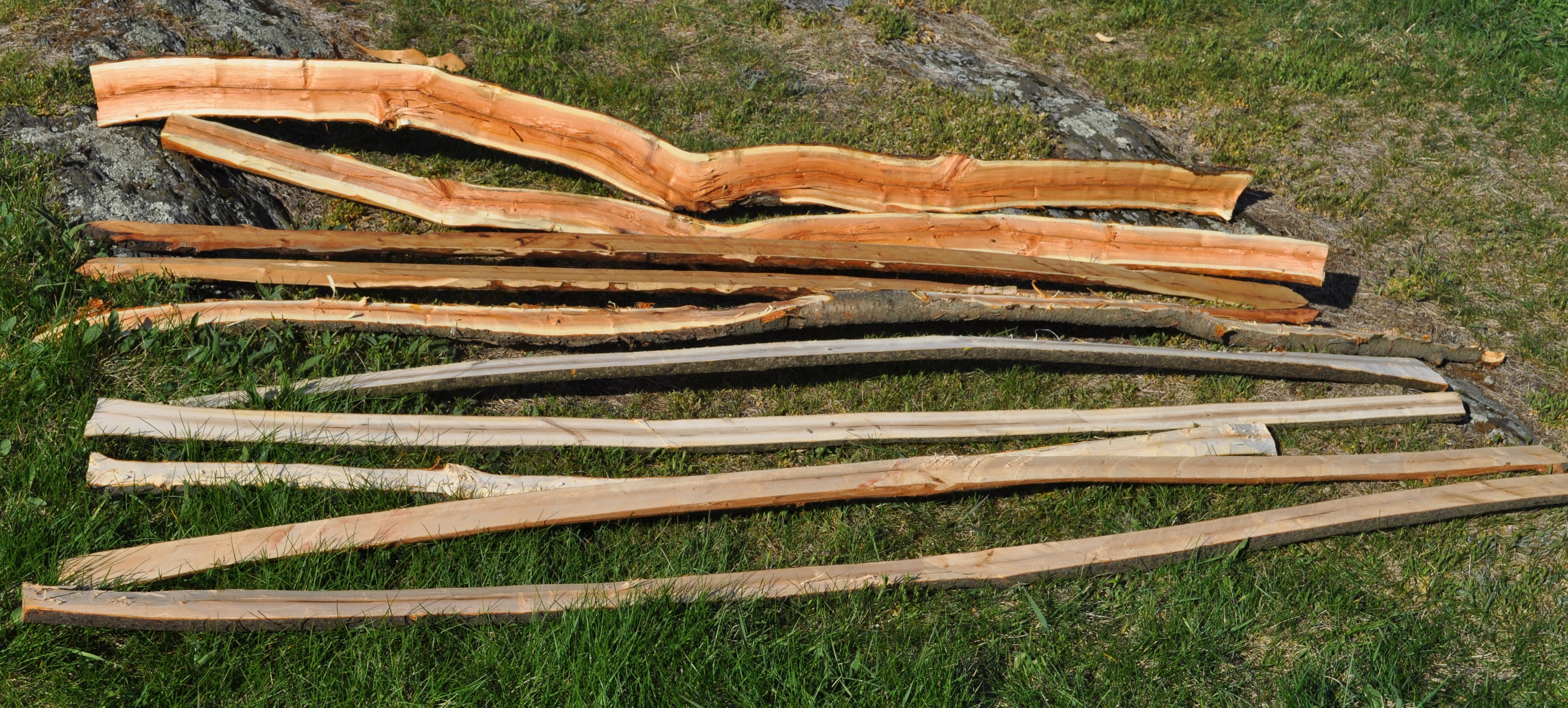 File:bow Staves.jpg - Wikimedia Commons