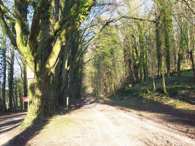 File:Bridleway to Asserton Farm - geograph.org.uk - 372316.jpg