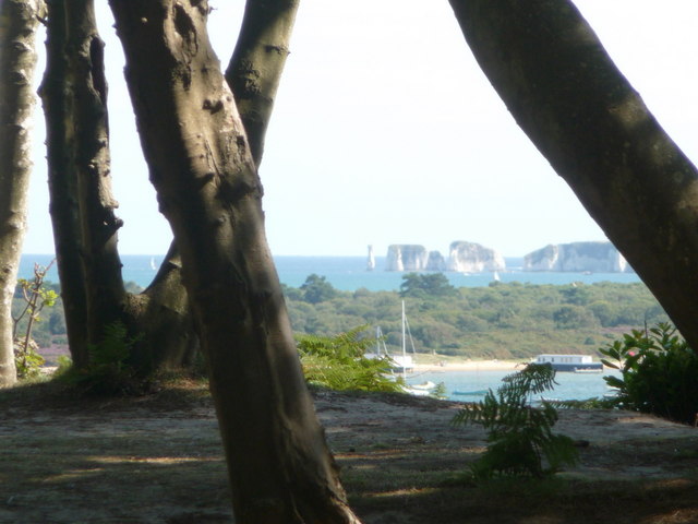 File:Brownsea Island, view of Old Harry through trees - geograph.org.uk - 1446259.jpg