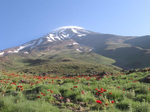 File:Damavand view from emamzade ghasem,Lar dam,Alborz شقایق ها وکوه برفی دماوند،لار - panoramio.jpg