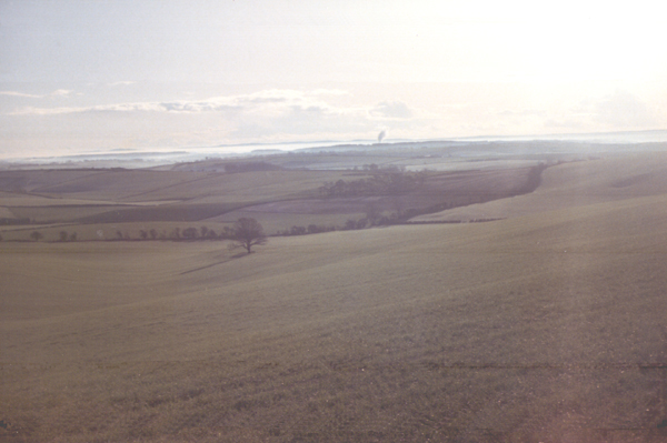 Dorset Downs