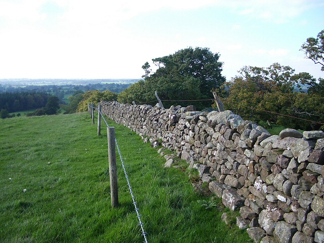 Drystone wall descending Craggle Hill - geograph.org.uk - 269397