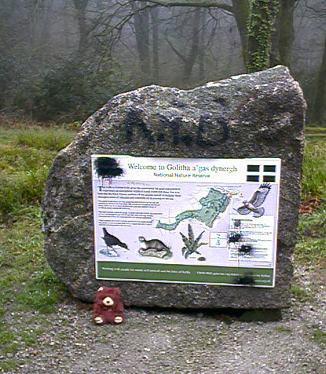 File:Entrance to Golitha Woods - geograph.org.uk - 6061.jpg