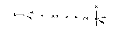 First step in the hydrocyanation of butadiene for the manufacture of adiponitrile